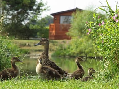 Brighouse Bay Holiday Park