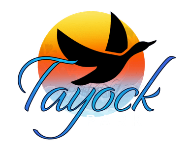 Tayock Park