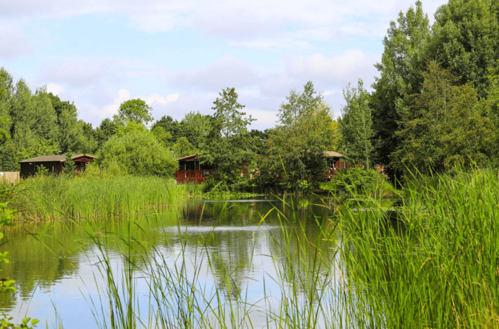 Paradise Lakeside Lodges