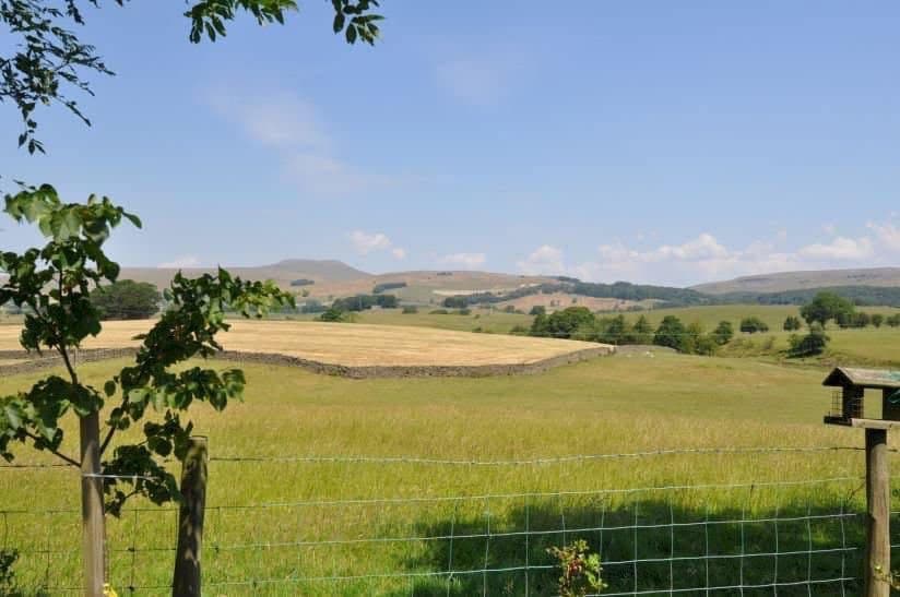 The Flying Horseshoe Caravan Park
